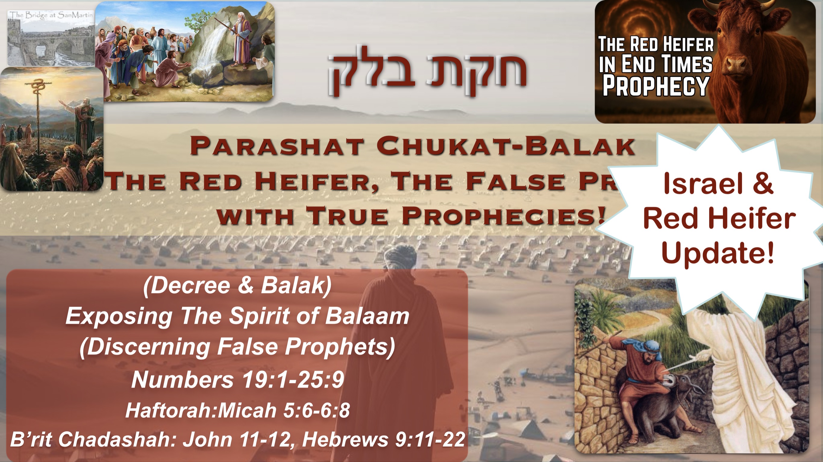 Parsha Chukat-Balak